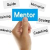 Picture of Web Mentor Official